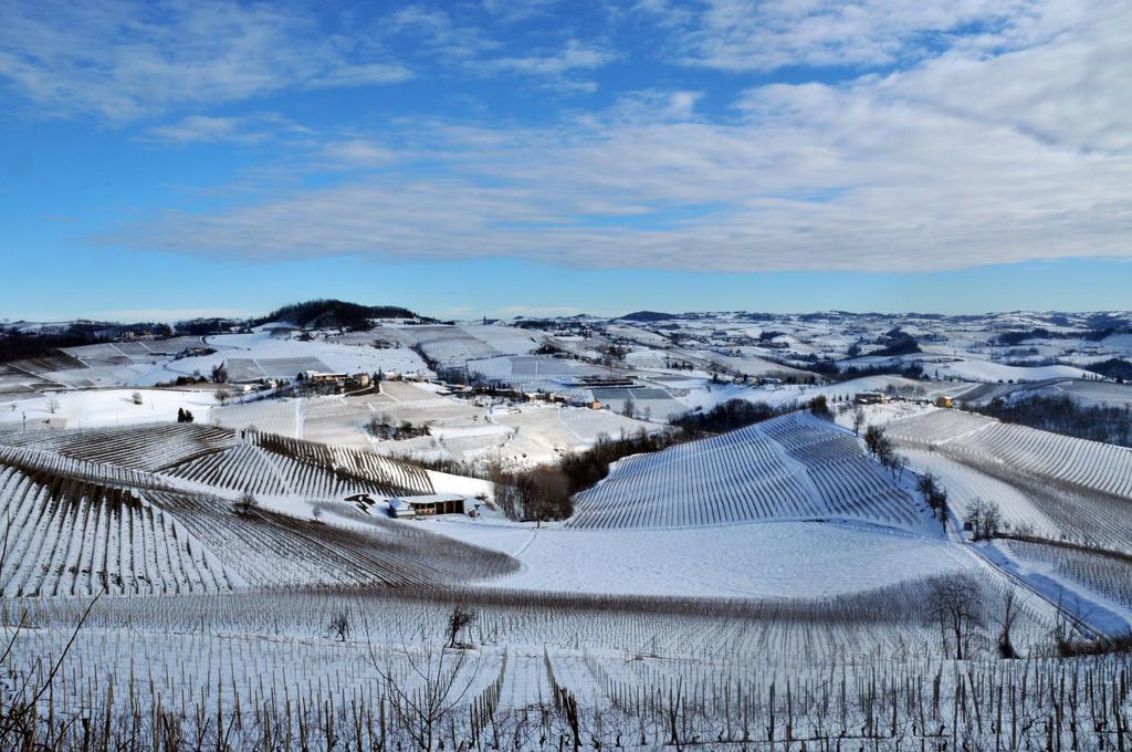 La Rosa Gialla Bio Apartments & Rooms Barolo Exterior photo